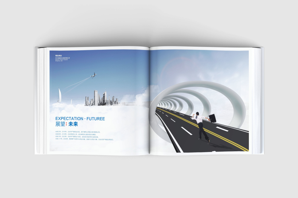 崇川区画册设计